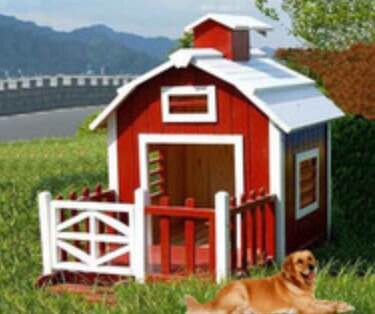 Dog House,Dog House