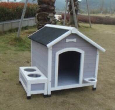 Dog House,Dog House