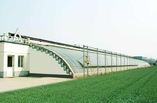 Green House,Green House