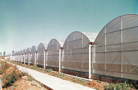 Green House,Green House