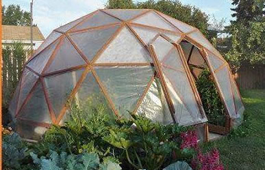 Green House,Green House